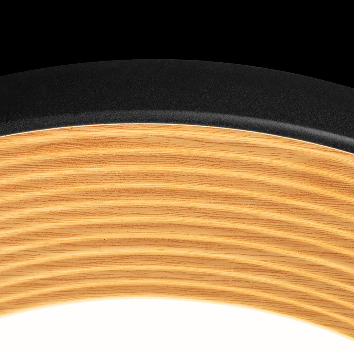 Потолочный светильник Loft IT Folk 10255/500 Black 2