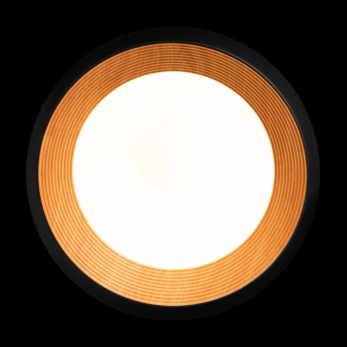 Потолочный светильник Loft IT Folk 10255/500 Black 4