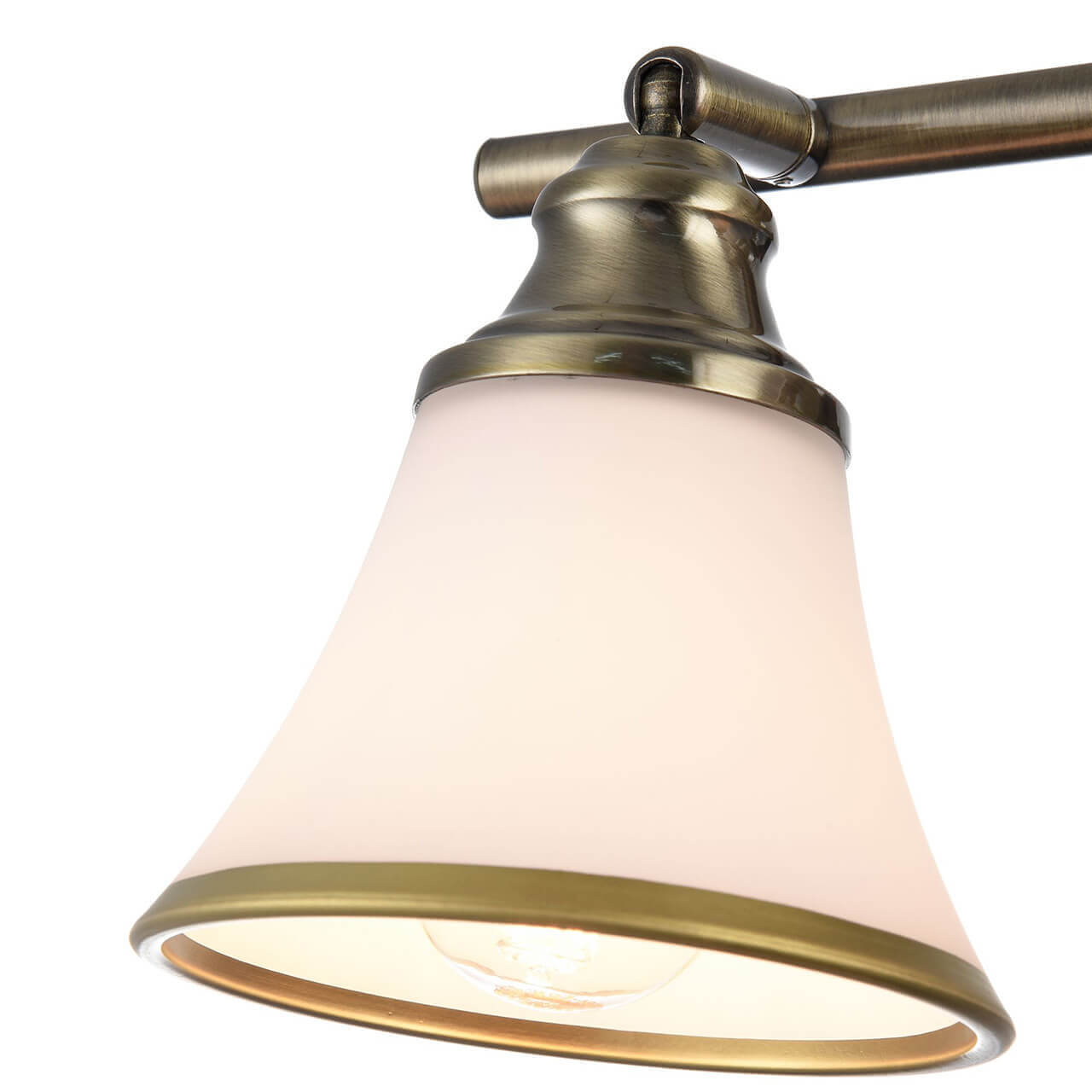 Спот Freya Jasinta FR2272-CW-02-BS 3