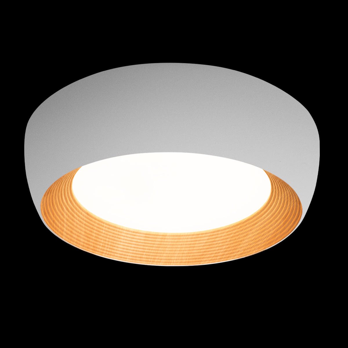 Потолочный светильник Loft IT Folk 10255/500 White 5