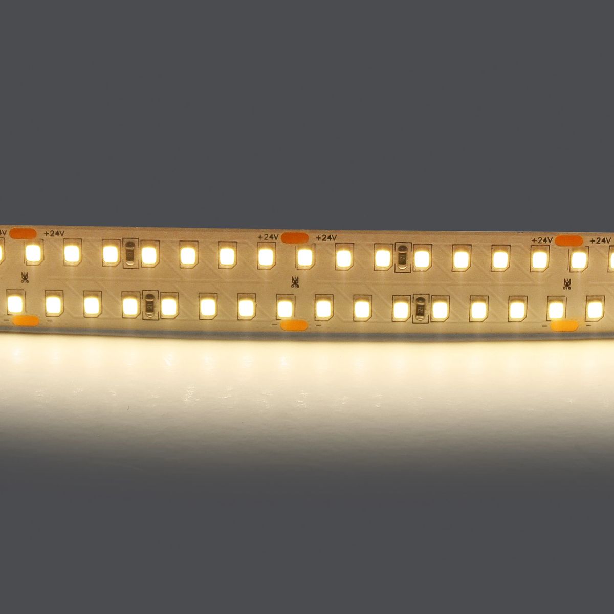 Светодиодная лента Lightstar 30W/m 280LED/m дневной белый 5M 422004 1