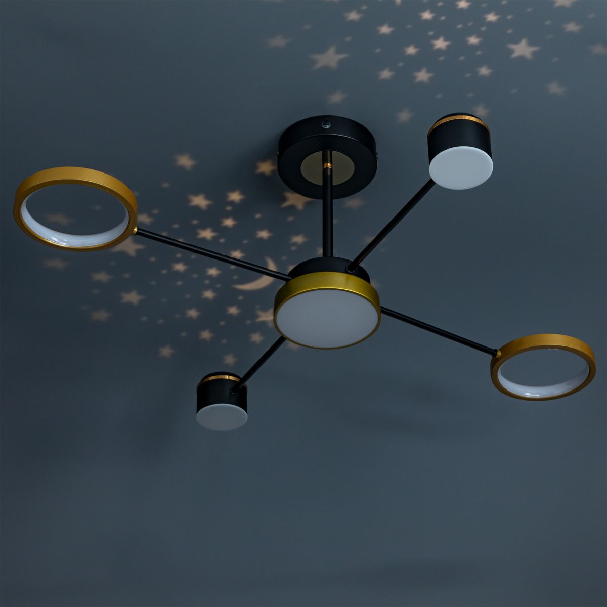 Потолочная светодиодная люстра Ritter Notte 51595 5 5