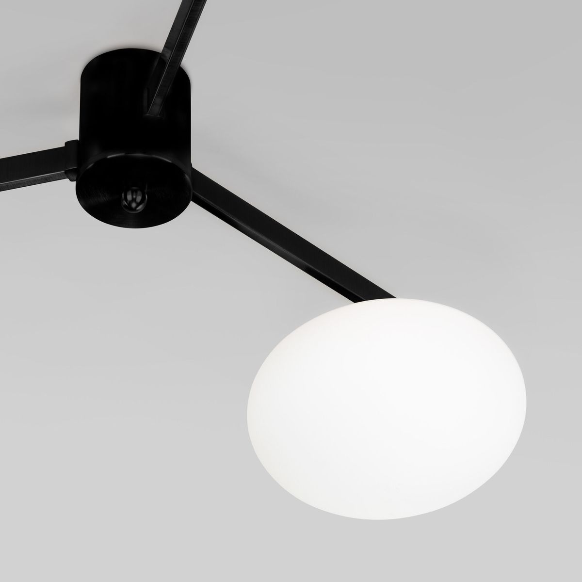 Потолочная люстра Eurosvet Opaline 70220/3 черный 2