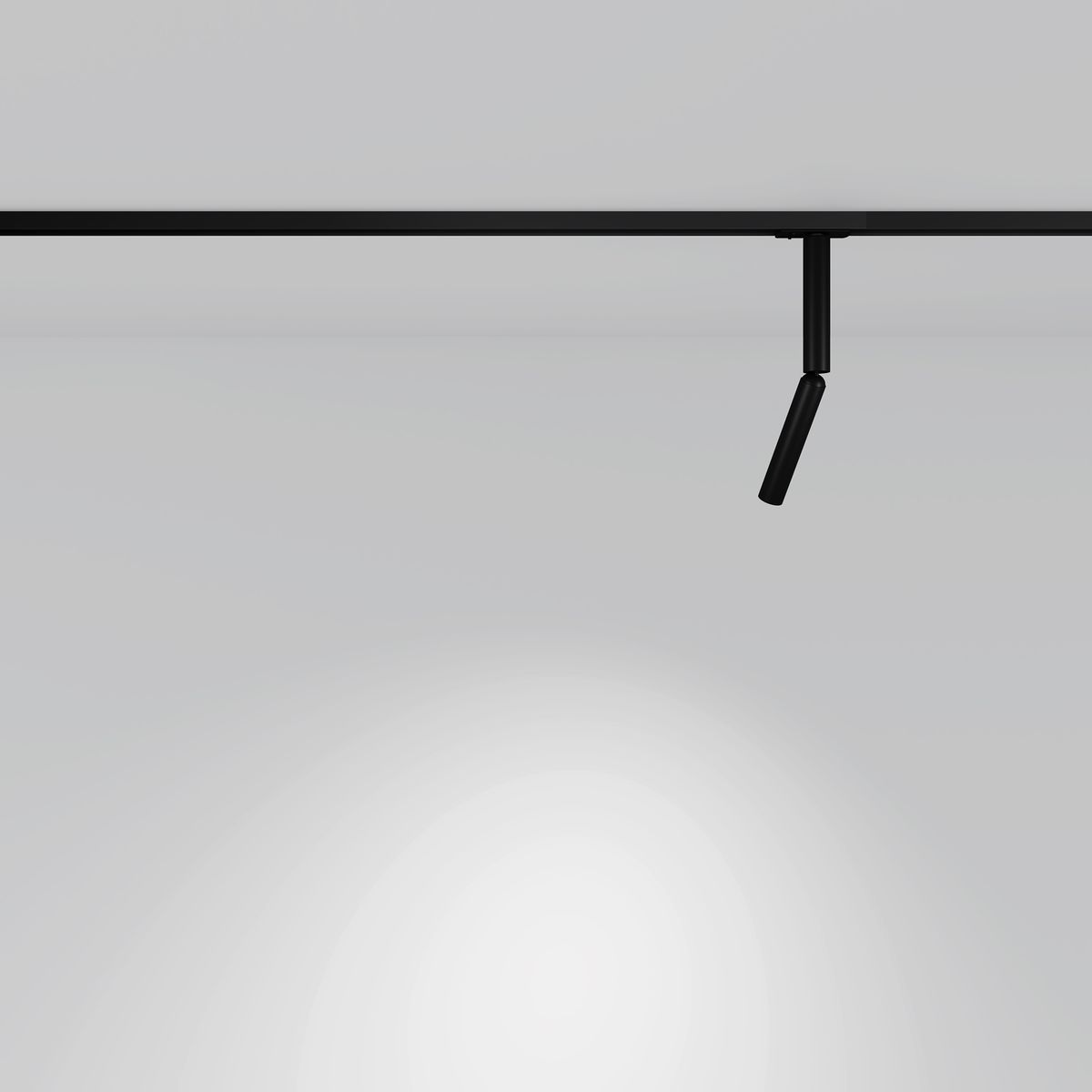 Трековый светодиодный светильник Maytoni Technical Focus T TR142-1-6W4K-B 2