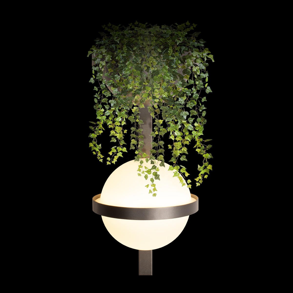 Настенный светильник LOFT IT Jardin 10121W/B Dark grey 1