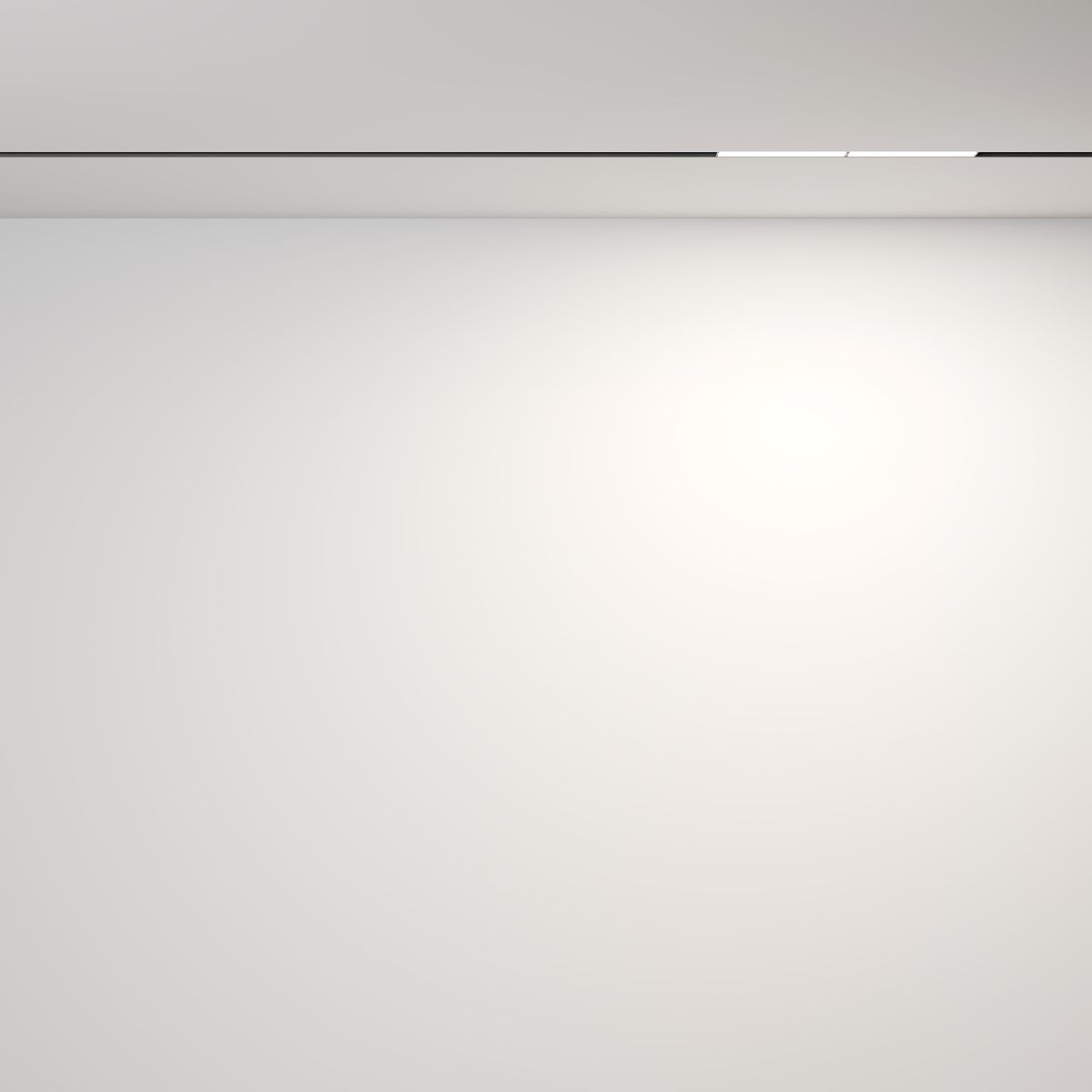 Трековый светодиодный светильник Maytoni Technical Exility Parete TR106-2-12W4K-B 3