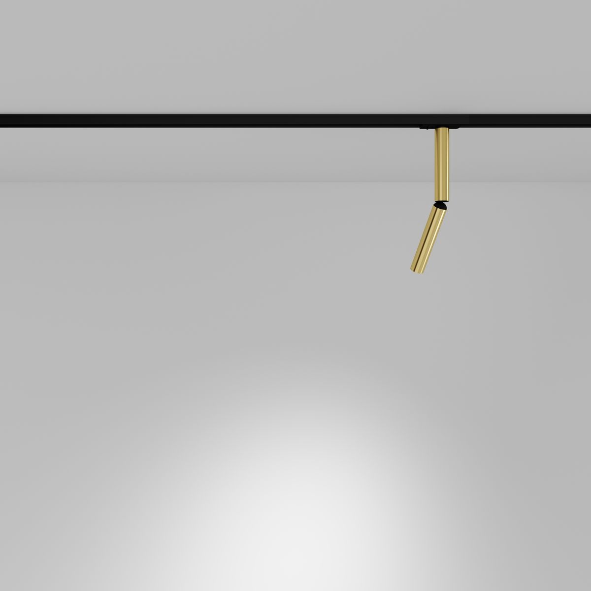 Трековый светодиодный светильник Maytoni Technical Focus T TR142-1-6W4K-BS 2