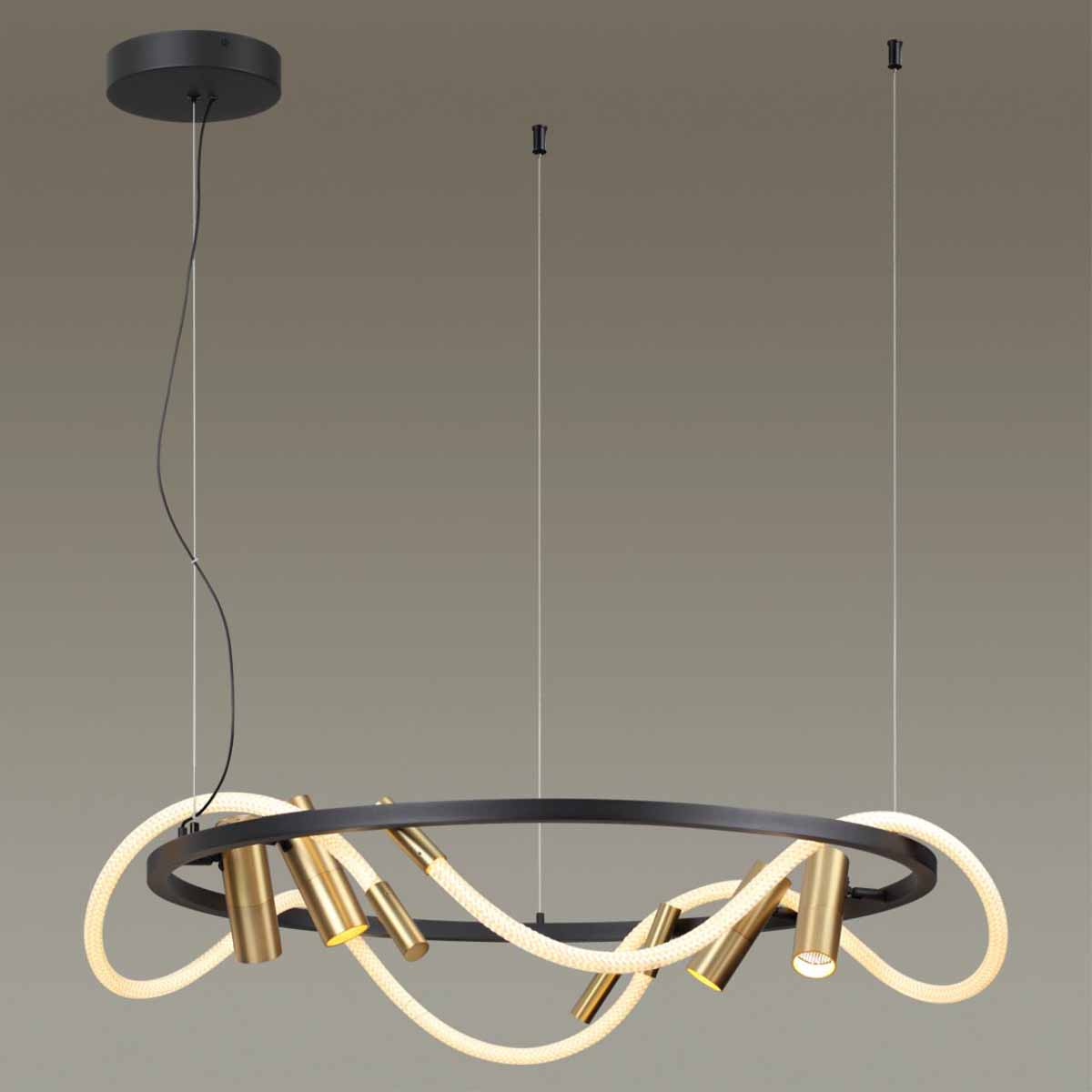 Подвесная светодиодная люстра Odeon Light Corda 4397/55L 2