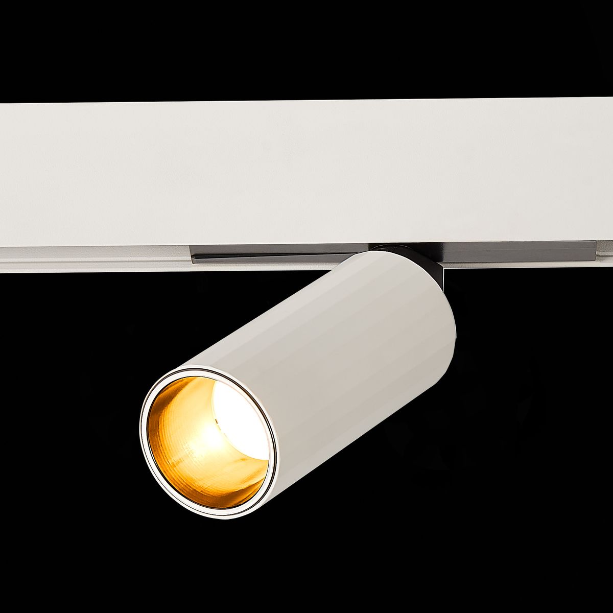 Трековый светодиодный светильник ST Luce Skyline 48 ST807.536.12 2