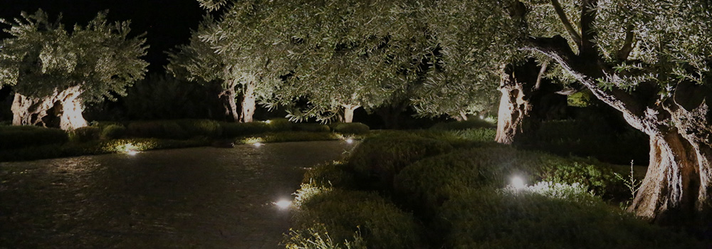 land_2.jpg land_2.jpg