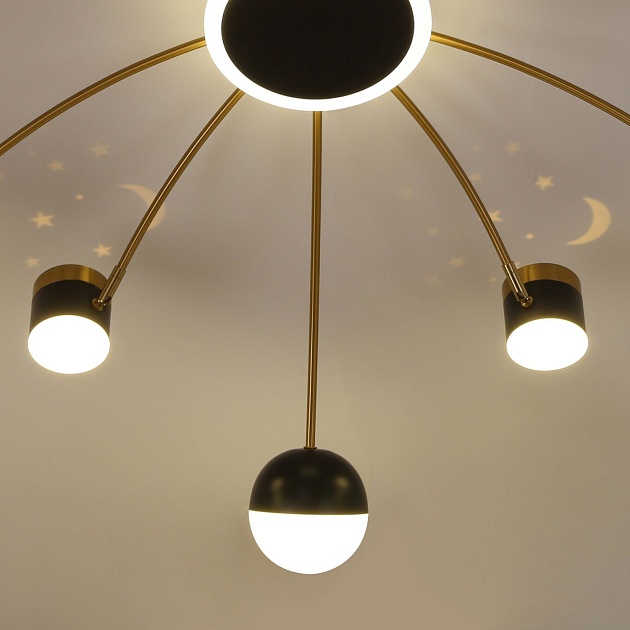 Потолочная люстра F-Promo Canvas 3096-10P Фото № 4