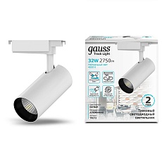 Трековый светодиодный светильник Gauss Track Light Led TR072 1