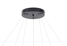 Подвесная светодиодная люстра Zortes RINGOLIGHT ZRS.33320.120C 2