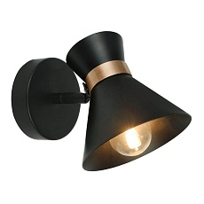 Спот Arte Lamp Baltimore A1406AP-1BK 1