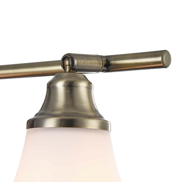 Спот Freya Jasinta FR2272-CW-03-BS Фото № 2