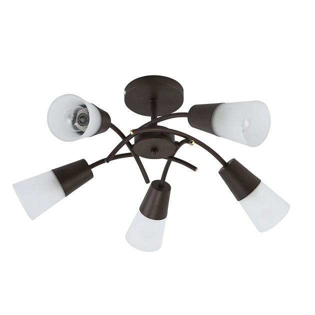 Потолочная люстра Escada Calla 1109/5P Wenge изображение Потолочная люстра Escada Calla 1109/5P Wenge Фото №