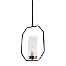 Подвесной светильник Arte Lamp Celaeno A7004SP-1BK 2