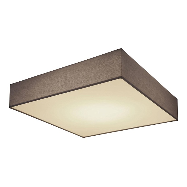 Потолочный светодиодный светильник Globo Sanna 15585D3 Фото № 