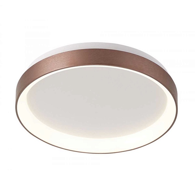 Потолочный светодиодный светильник Deko-Light Mirach 348134 Фото № 