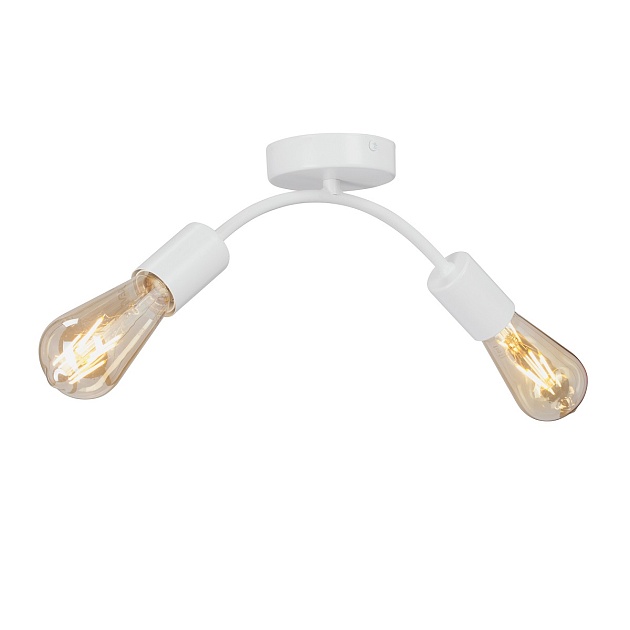 Потолочный светильник Vitaluce V4989-0/2PL Фото № 