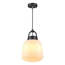 Уличный подвесной светильник Novotech Street Conte 370601 1