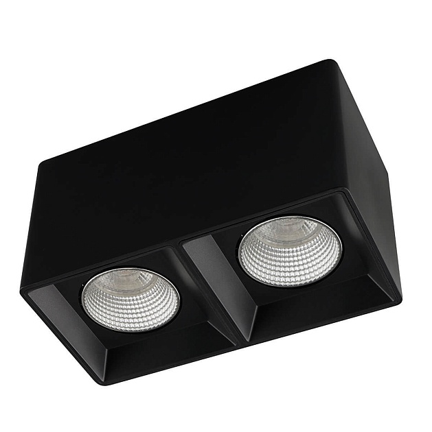 Накладной светильник Denkirs DK3085-BK+CH Фото № 