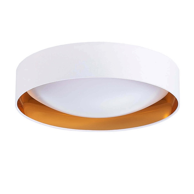 Потолочный светодиодный светильник Evoluce Orbio SLE201122-01 изображение Потолочный светодиодный светильник Evoluce Orbio SLE201122-01 Фото №