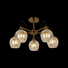 Потолочная люстра Evoluce Acro SLE110002-05 1