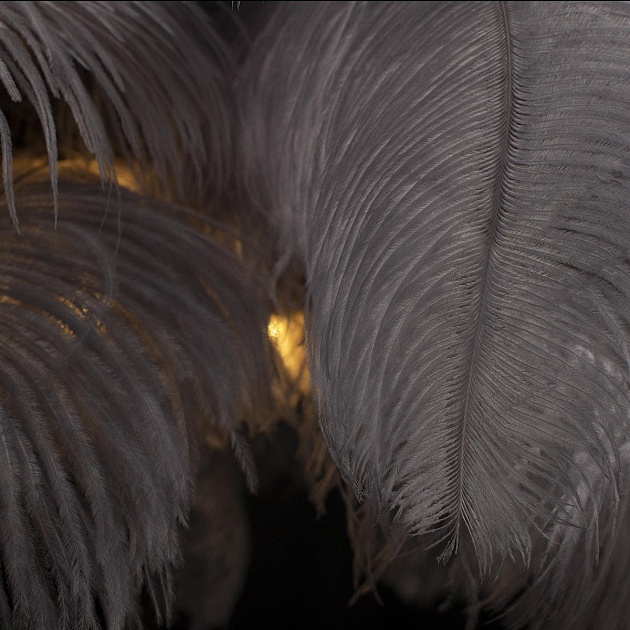 Торшер Loft IT Bijout 10067F/BK Grey изображение 5 Торшер Loft IT Bijout 10067F/BK Grey Фото № 5