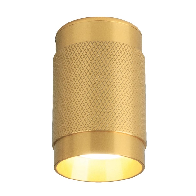 Потолочный светильник Elektrostandard Tony DLN109 GU10 золото a047741 изображение Потолочный светильник Elektrostandard Tony DLN109 GU10 золото a047741 Фото №