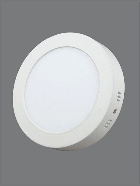 Настенно-потолочный светодиодный светильник Elvan NLS-702R-12W-WH-Wh Фото № 10