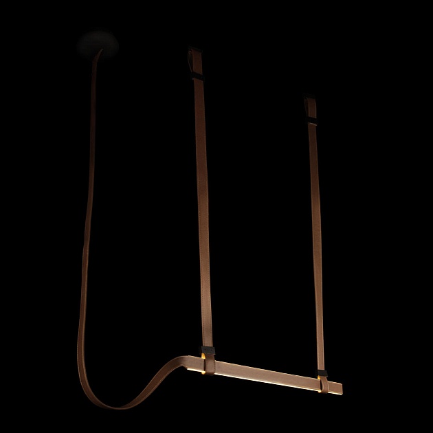 Подвесной светодиодный светильник Loft IT Strong 10241/1000 изображение 4 Подвесной светодиодный светильник Loft IT Strong 10241/1000 Фото № 4