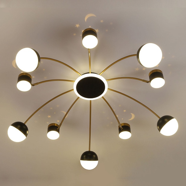 Потолочная люстра F-Promo Canvas 3096-10P Фото № 3