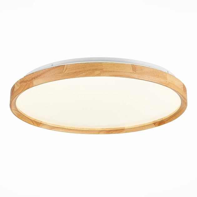 Потолочный сетодиодный светильник Evoluce Delia SLE201382-01 Фото № 4