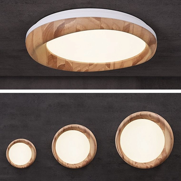 Потолочный светодиодный светильник Imperium Loft Runis 219476-26 изображение 2 Потолочный светодиодный светильник Imperium Loft Runis 219476-26 Фото № 2