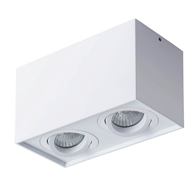 Потолочный светильник Arte Lamp Factor A5544PL-2WH Фото № 