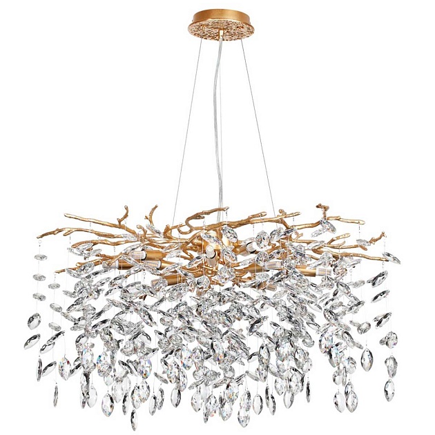 Подвесная люстра Odeon Light DELICA 4969/10 Фото № 