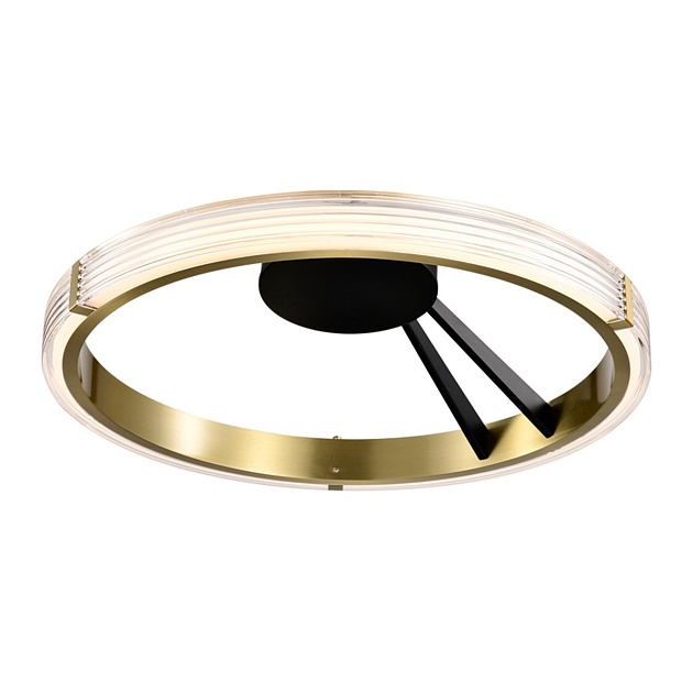 Потолочный светодиодный светильник Lightstar Rotonda 736041 изображение Потолочный светодиодный светильник Lightstar Rotonda 736041 Фото №