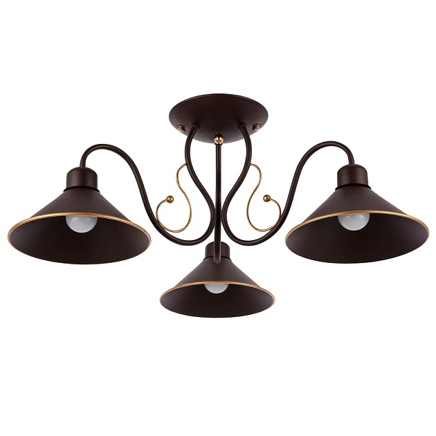 Потолочная люстра Evoluce Ciolla SLE120402-03 изображение Потолочная люстра Evoluce Ciolla SLE120402-03 Фото №