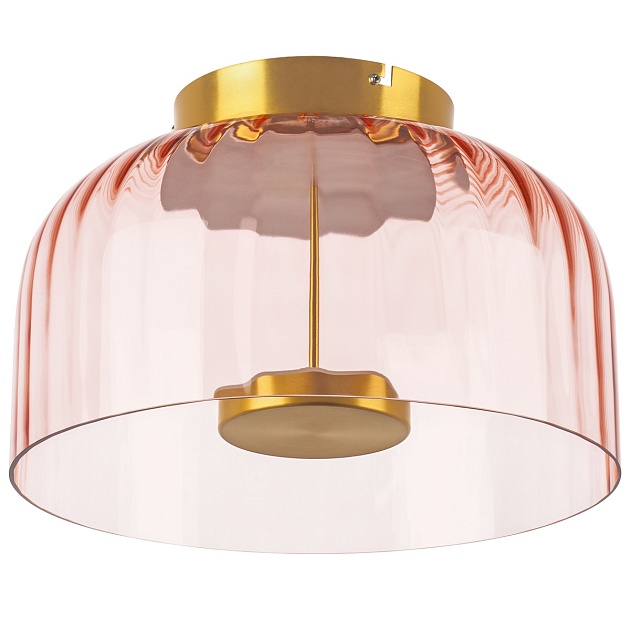 Потолочный светодиодный светильник Lightstar Celesta 809062 Фото № 