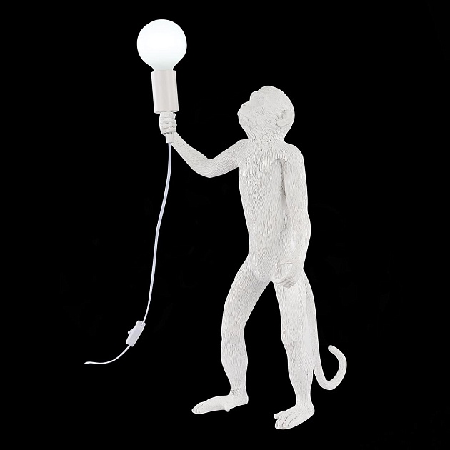 Прикроватная лампа Evoluce Tenato SLE115114-01 Фото № 2