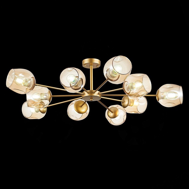 Потолочная люстра Evoluce Pallo SLE155412-10 изображение 3 Потолочная люстра Evoluce Pallo SLE155412-10 Фото № 3