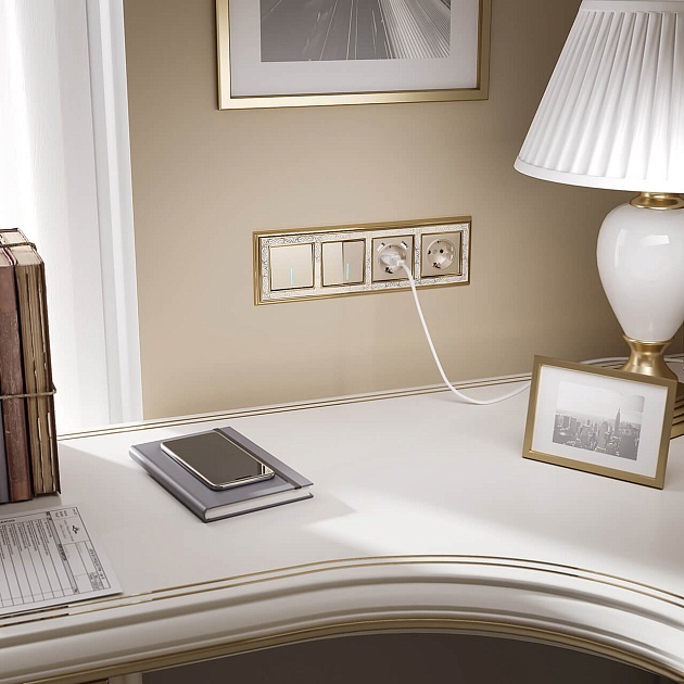 Накладка для розетки USB Werkel шампань W1179511 4690389157462 Фото № 3