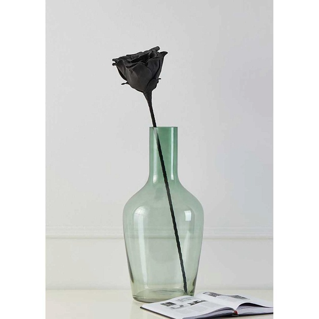 Искусственное растение Eglo MOLAVE 428131 изображение 4 Искусственное растение Eglo MOLAVE 428131 Фото № 4