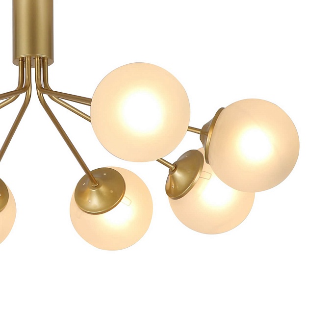 Потолочная люстра F-Promo Pax 2631-8U изображение 4 Потолочная люстра F-Promo Pax 2631-8U Фото № 4