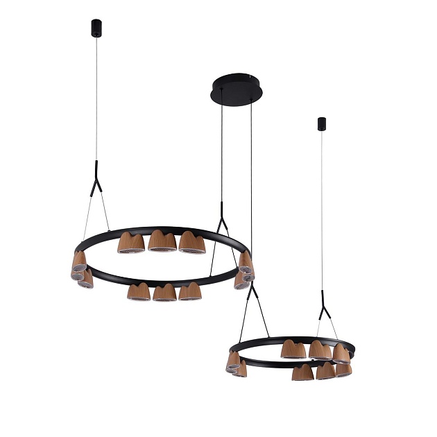 Подвесная светодиодная люстра Favourite Interline 4266-21P изображение Подвесная светодиодная люстра Favourite Interline 4266-21P Фото №