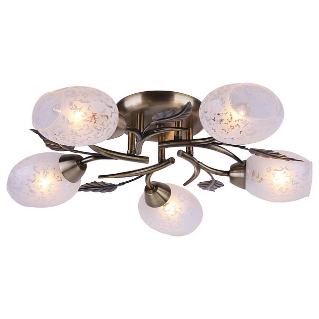 Потолочная люстра Arte Lamp Anetta A6157PL-5AB изображение 4 Потолочная люстра Arte Lamp Anetta A6157PL-5AB Фото № 4