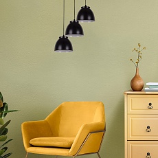 Подвесной светильник Apeyron 16-65 2