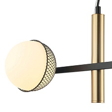 Подвесная люстра Favourite Odd 2826-2P 2