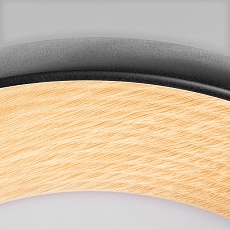 Потолочный светильник Loft IT Folk 10255/500 Black 3